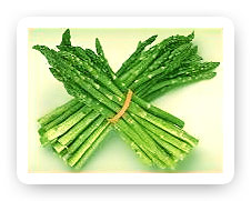 asparagus bunch